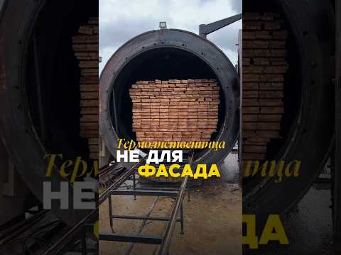 Что стало с термолиственницей через 4 сезона? Реальный результат 😳