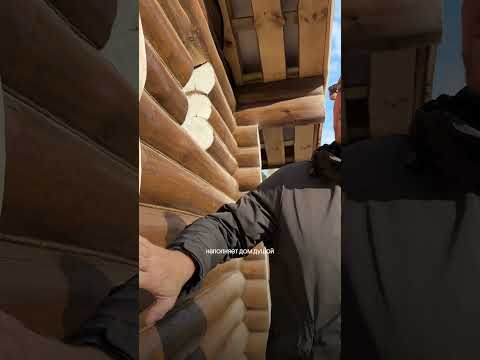 🌲 ВЕРНИ ПРИРОДУ В ДОМ 🌞 Почему ДЕРЕВО — это больше, чем просто материал 🌿