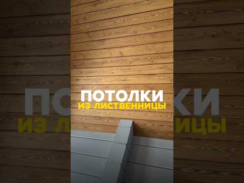 😱 ЛИСТВЕННИЦА НА ПОТОЛКЕ? ОШИБКА, КОТОРАЯ ВЫЛЕЗЕТ ПОЗЖЕ!